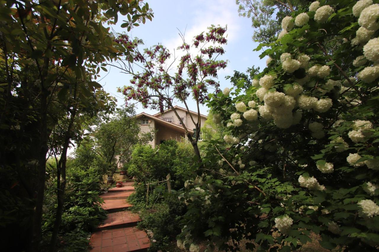 La Casa Nel Bosco Bed and Breakfast Savio di Ravenna Εξωτερικό φωτογραφία