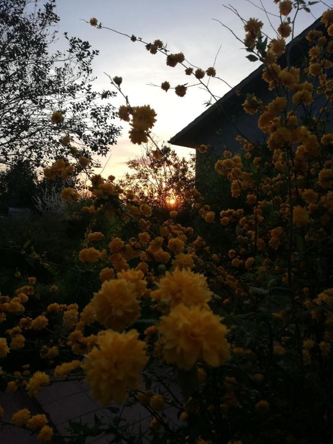 La Casa Nel Bosco Bed and Breakfast Savio di Ravenna Εξωτερικό φωτογραφία